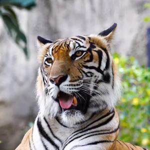 Meet your Posher, Ella